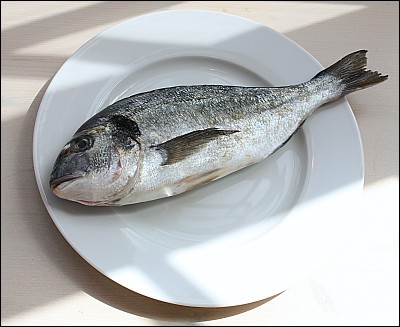 En nydelig fisk. En nydelig fisk.